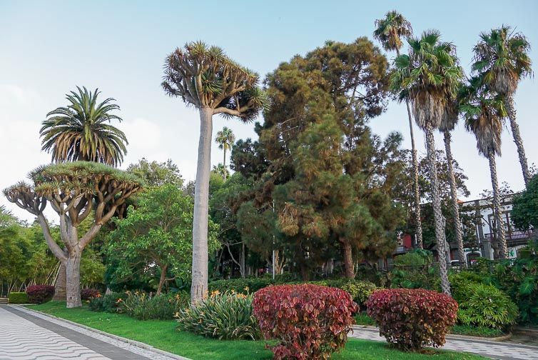 Arucas - Parque de las Flores