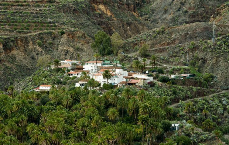 Santa Lucía de Tirajana - Palmerales